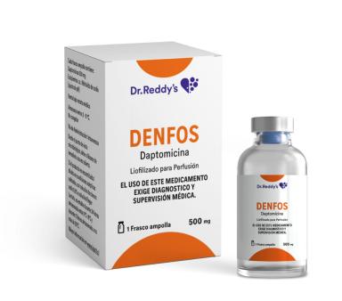 maqueta_denfos-1024x901