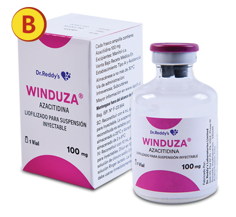 winduza-1